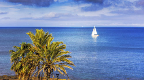 Scenic view of sea against sky with sail boat and palm tree prominent.