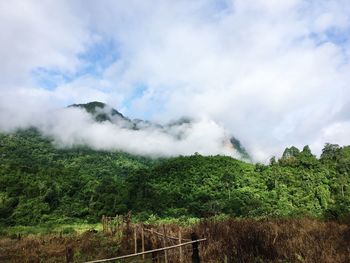 Scenic view of landscape against sky