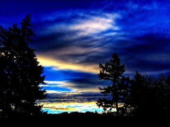 Low angle view of silhouette trees against dramatic sky