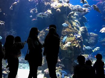 Rear view of people standing in aquarium