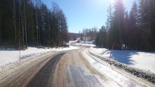 Road passing through snow covered trees