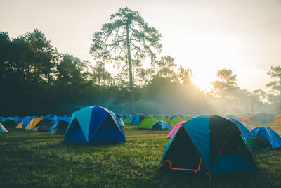 Tent in field against bright sun