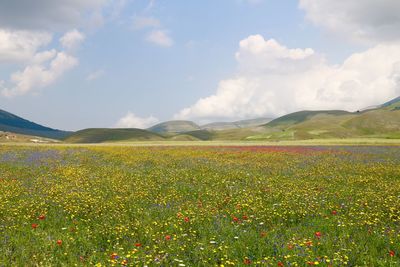Scenic view of field against cloudy sky
