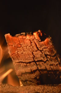 Close-up of leaf at night