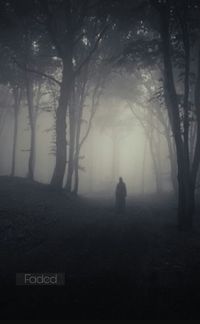 View of bare trees in foggy weather