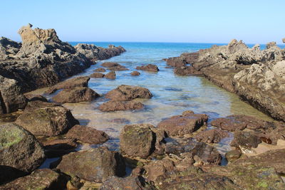 Scenic view of rocks in sea against clear sky