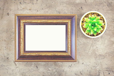 Picture frame and succulent plant on table