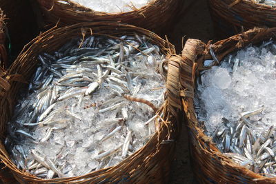 High angle view of fish in basket