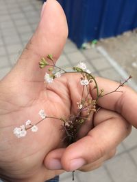 Midsection of woman holding flower