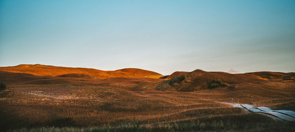 Scenic view of field against clear sky