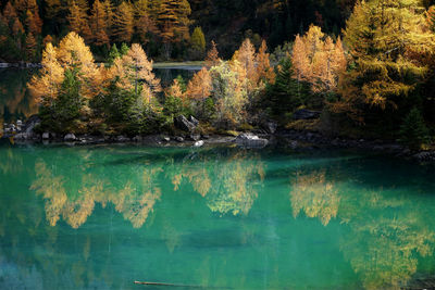 Scenic view of lake by trees