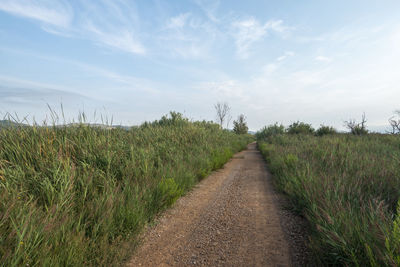 Dirt road amidst plants on field against sky