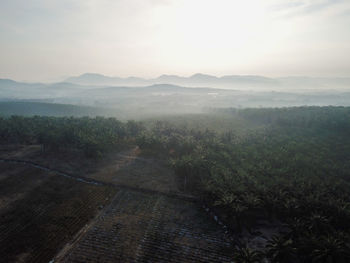 Scenic view of landscape against sky