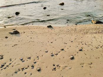 High angle view of sand on beach