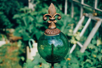 Close-up of glass decoration with plants in background