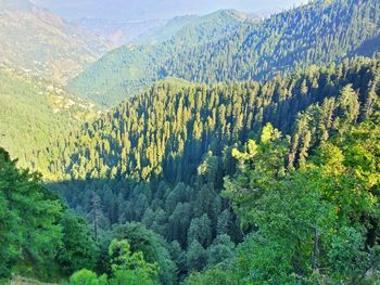 Scenic view of mountains