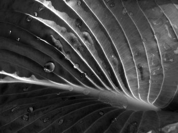 Full frame shot of water