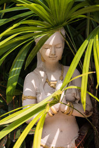 Close-up of statue against plants