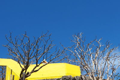 Low angle view of bare tree against clear blue sky