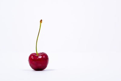 Close-up of apple against white background