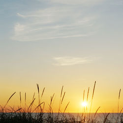 Scenic view of sunset over sea