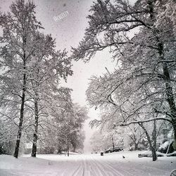 Snow covered road in winter