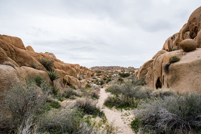 Path through shrubs and large rock formations leading into distance