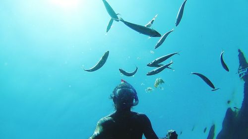 Woman swimming in sea