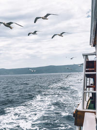 Seagulls flying over sea against sky