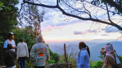 Rear view of people and trees against sky