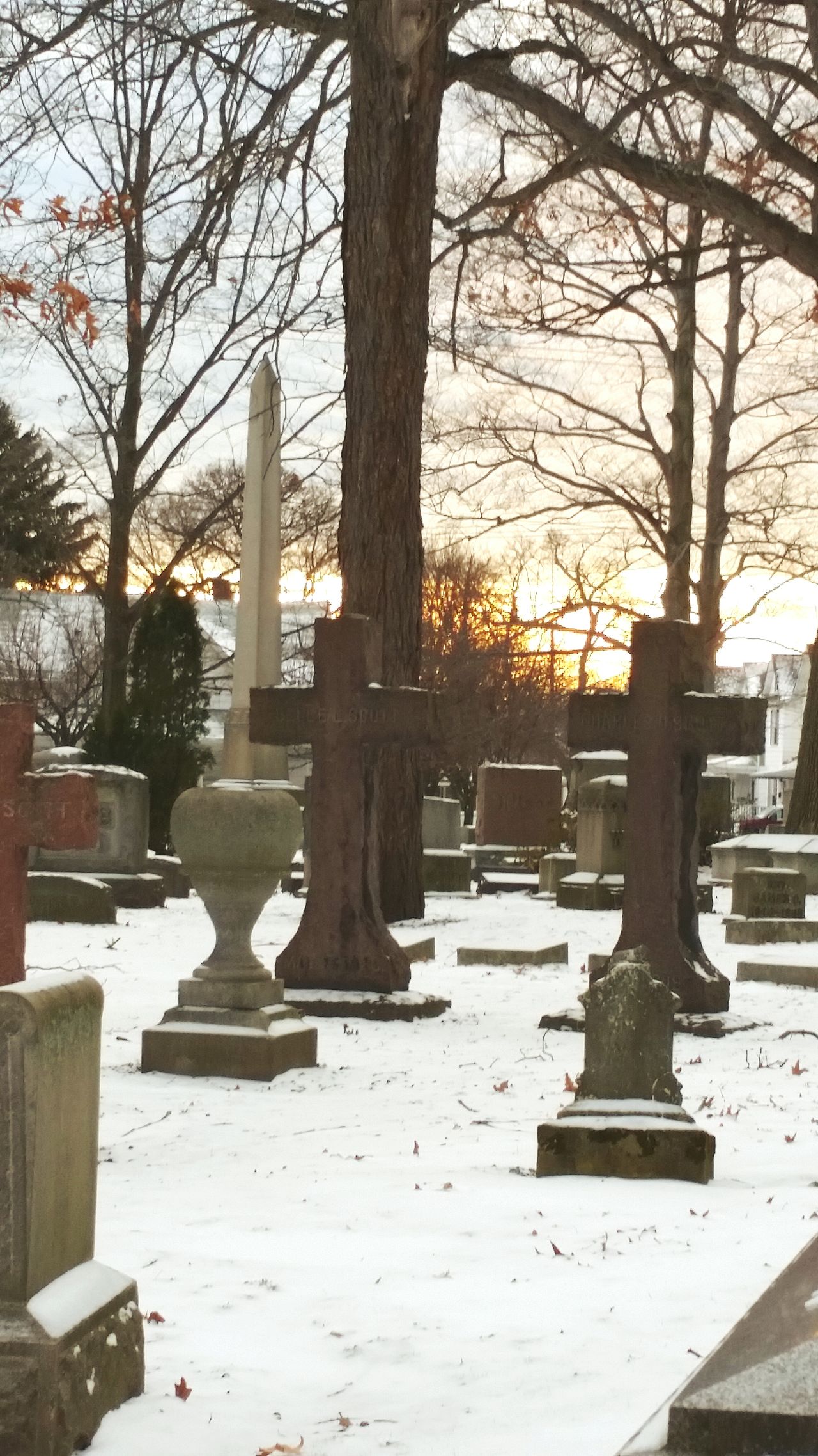 Crosses in the sun