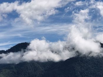 Low angle view of clouds in forest