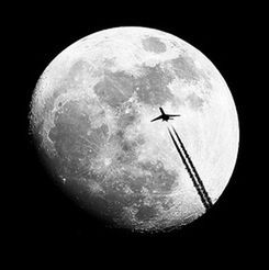 low angle view, sky, moon, night, flying, astronomy, sphere, mid-air, nature, beauty in nature, planetary moon, tranquility, full moon, moon surface, copy space, no people, lighting equipment, outdoors, one animal, electricity