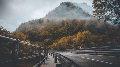 Road by trees against sky during autumn