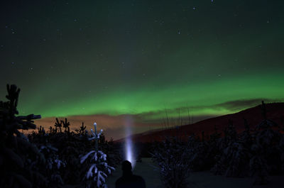 Panoramic view of trees on landscape against sky at night