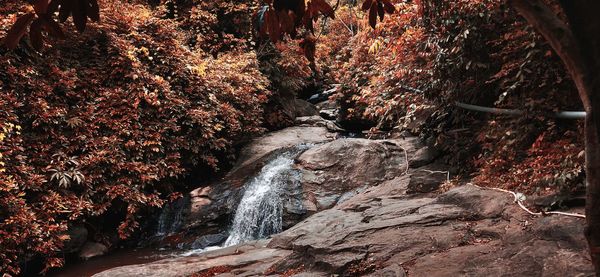 Waterfall in forest during autumn