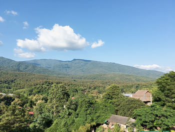 High angle view of trees and buildings against sky