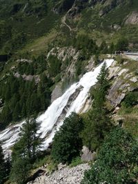 Scenic view of waterfall in forest