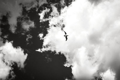 Low angle view of silhouette bird flying against sky