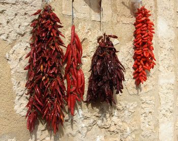 Close-up of red chili peppers against wall