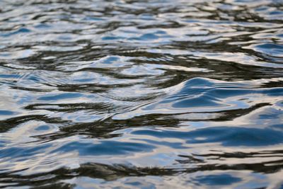 Reflection of trees in water