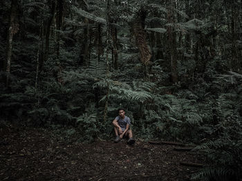 Man sitting in forest