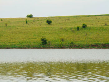 Scenic view of field against sky