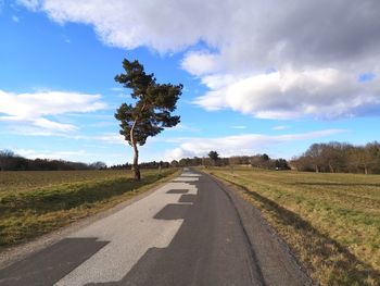 Road amidst trees on field against sky