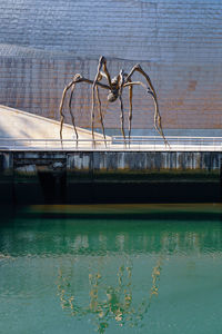 Guggenheim bilbao architecture, travel destinations