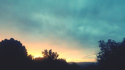 Low angle view of silhouette trees against sky during sunset