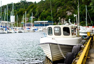 Boats moored at harbor