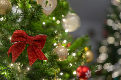 Close-up of christmas tree