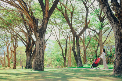 Man climbing on tree trunk in park