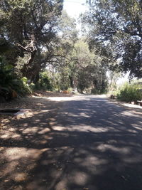 Road amidst trees in city against sky